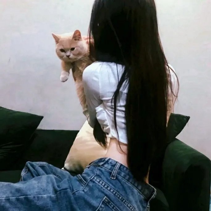 极速快感 在线观看